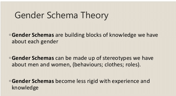 Gender Schema Theory Definition Explanation