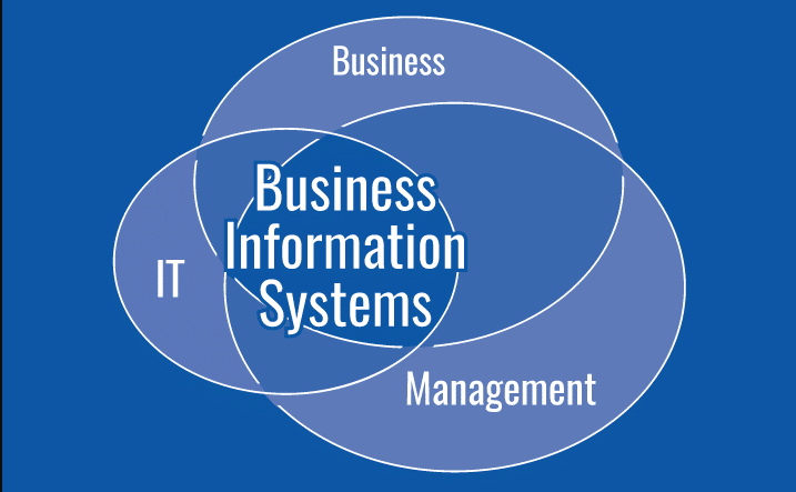 Business Information Systems