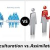 What are assimilation and acculturation?