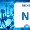 Chemical Element Nickel – Things You Need To Know!