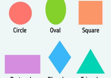 Types of shapes: All you need to know about these shapes