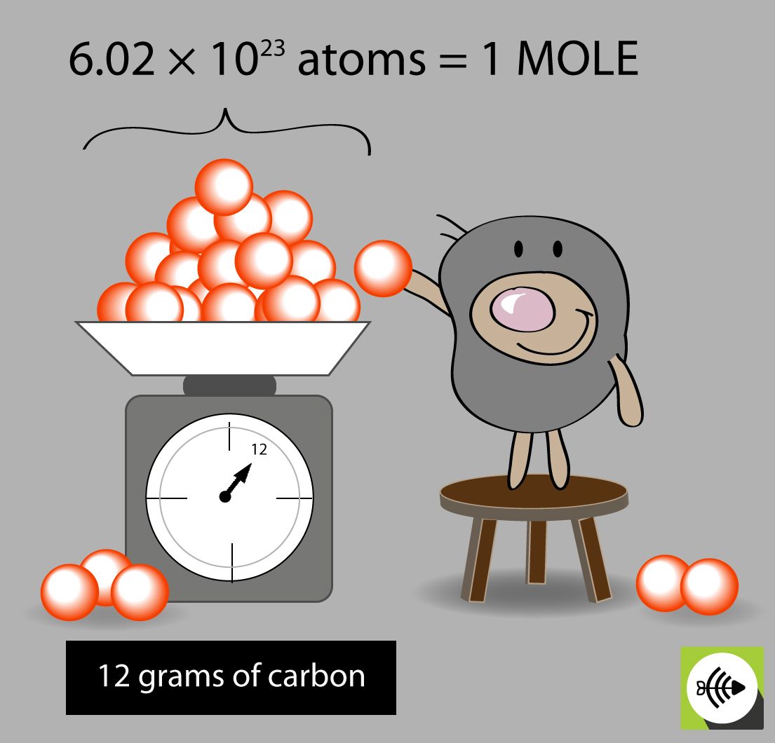 What is a stoichiometry calculator and how should you use it?